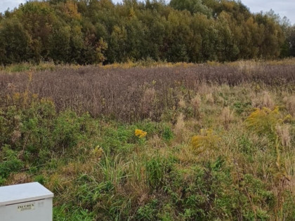 DZIAŁKA NA SPRZEDAŻ ALEKSNDRÓW ŁÓDZKI