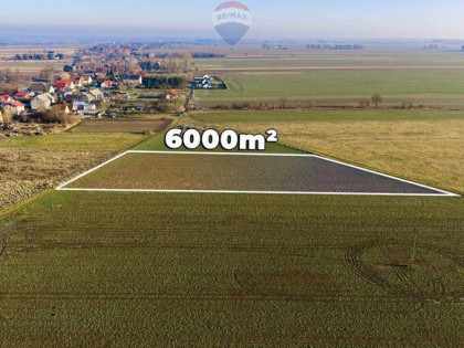 Okazja cenowa! Duża działka - Chocianowiec