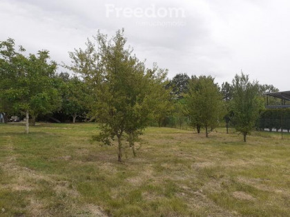 Duża działka w Ciechocinku