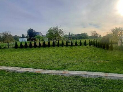 Działka ROD z ogromnym potencjałem