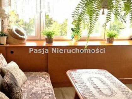 Mieszkanie Płock Centrum