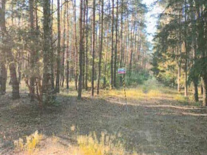 Nieruchomość gruntowa w Zofiewie