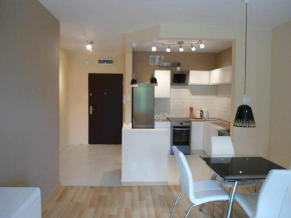 Nowo odświeżone mieszkanie do wynajęcia