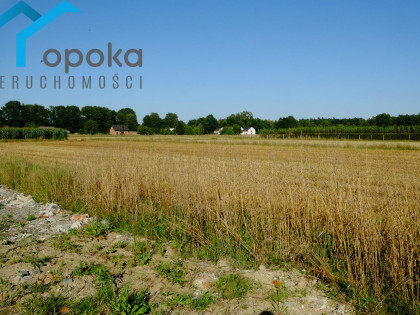 Działka Zaborze ul. Darwina