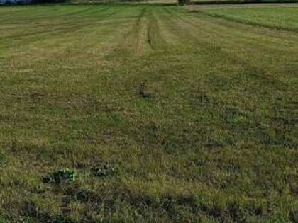 Sprzedam działkę z warunkami zabudowy 30 km od Radomia
