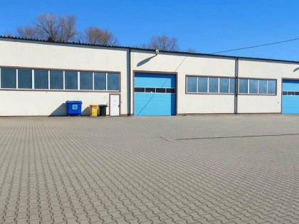 Lokal użytkowy Szczecin Dąbie