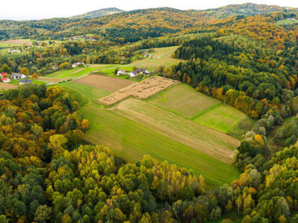 Działka  Lichwinie. Rolno-leśna, ‼️Nowa Cena ‼️
