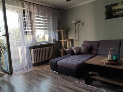 Wynajmę pokoje w mieszkaniu na Os. Chrobrego dla studentów