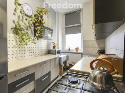 Trzy pokoje w centrum, lecz w spokojnym miejscu.