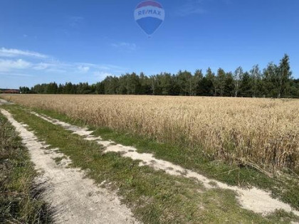 Kicin k/Poznania|3007 m² idealna pod dom