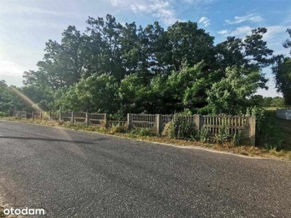 Sprzedam działkę rolną - 48 500 m2