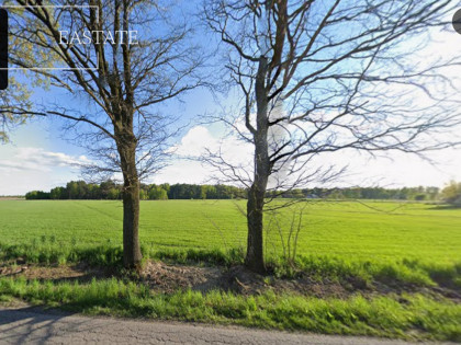 Działka Trojany ul. Trojany