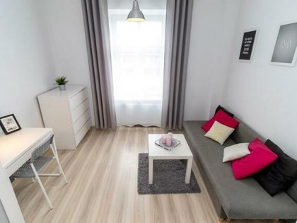 Kawalerka przyjazna dla zwierząt, Pabianicka 34