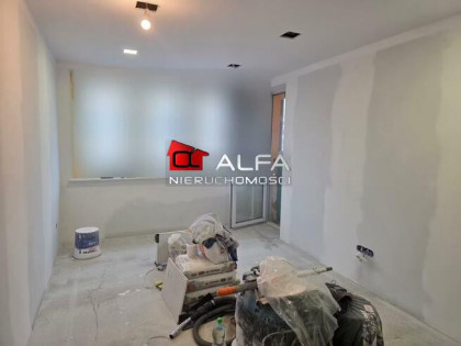 Mieszkanie Świdnica, okolice parku