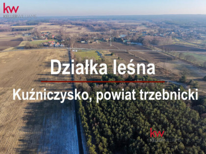 Działka leśna Kuźniczysko gm. Trzebnica,