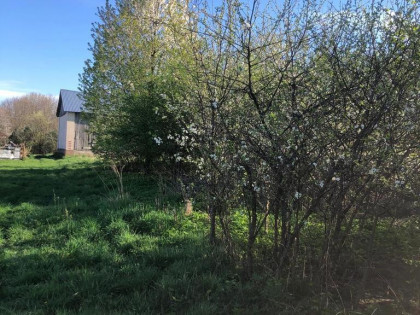 Anielpol - działka  5200m2