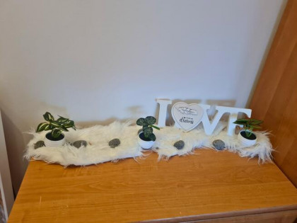 2-pokoje, niskie opłaty. Inwestycyjne.