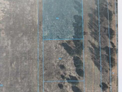 Działka budowlana Adamów Drwalewski gm. Chynów