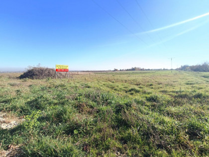 Działka Gliwice ul. Kozielska