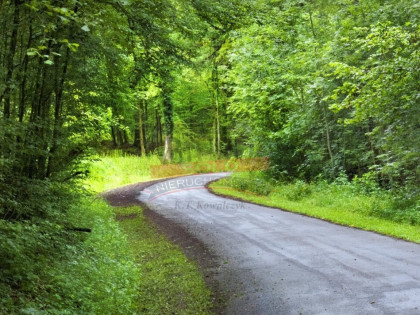 TURAWA/Działka inwestycyjna - 400 m od jeziora!