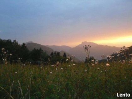 Szczawnica- Sprzedam 2/3 działek rekreacyjno, inwestycyjne