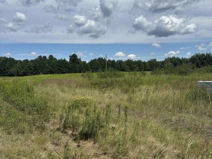 Działka budowlana 1175 m² blisko lasu. Murów