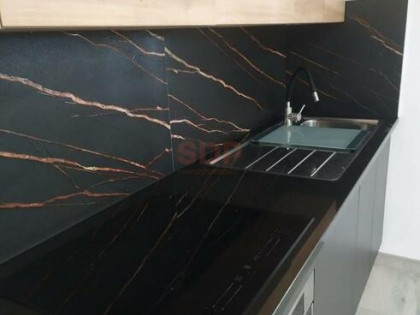 Mieszkanie Katowice, Mieszka I