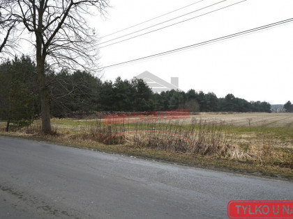 SZCZEDRZYK/Bardzo duża budowlana 1,02 hektara