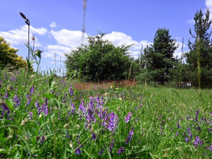 STRZELCE OP/ROZMIERKA/Duża działka budowlana 53,3a