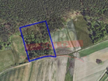 KRASIEJÓW/Działka rolno-leśna 1,15ha