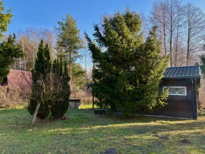 Dom letniskowy 32m2 | działka ROD 317m2 | Stare Budy