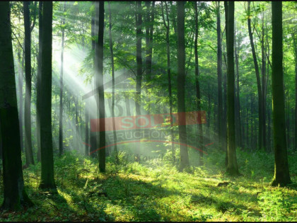 Rzędów gm. Turawa działka w pobliżu jeziora-Turawa