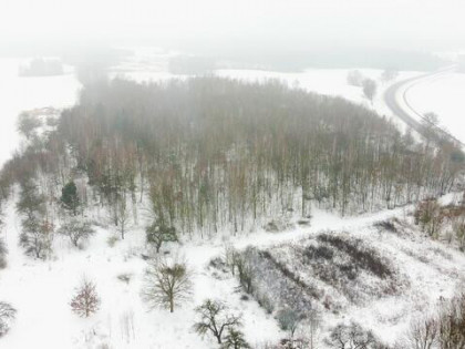 Siemień Kol., gm. Siemień – działka rolna, leśna