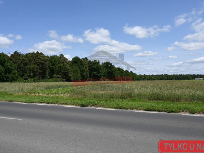 STRZELCE OP/Działka produkcyjno-usługowa 23,70 a