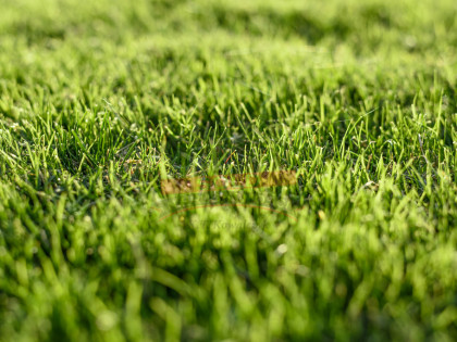 BIESTRZYNNIK/Działka rolna 1,14ha