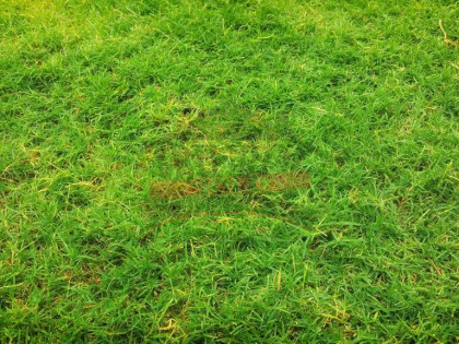 TURAWA/ KOMPLEKS działek - 500 m od jeziora!