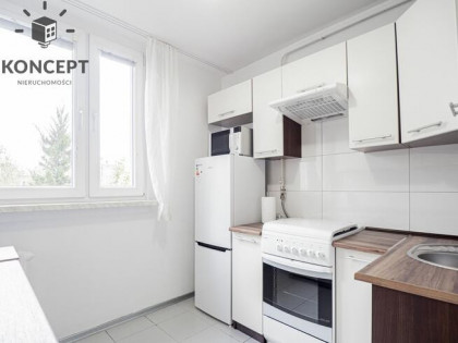 3-pok | pełen rozkład | Piwnica | Krzyki