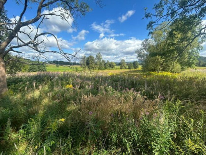 Działka siedliskowa Łomnica gm. Mysłakowice, Karpnicka