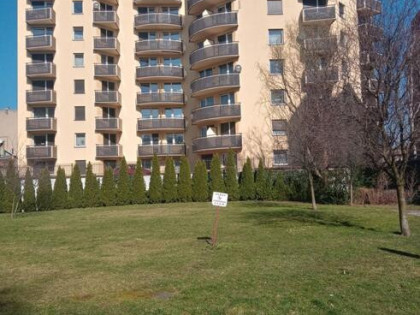 Kawalerka w centrum Gliwic