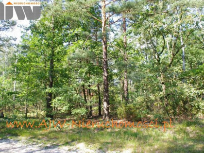 Działka budowlana Izabelin B gm. Izabelin, gm. Izabelin