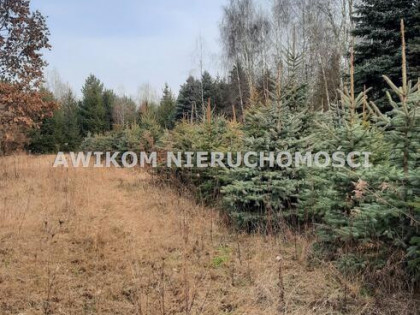 Działka usługowa Powązki gm. Mszczonów