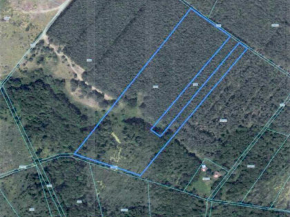 Sprzedaż w wolnej ręki - Kamion gm. Nowy Duninów