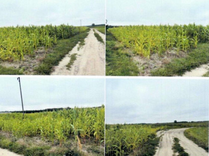 Konkurs ofert - udział 1/6 w prawie własności