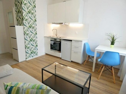 Do wynajęcia słoneczna kawalerka- Ziemowita 4