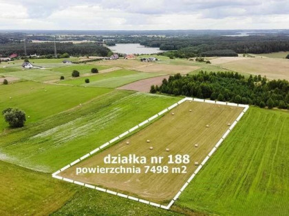 Stare Juchy .Działka 7500m2 -38złm2-