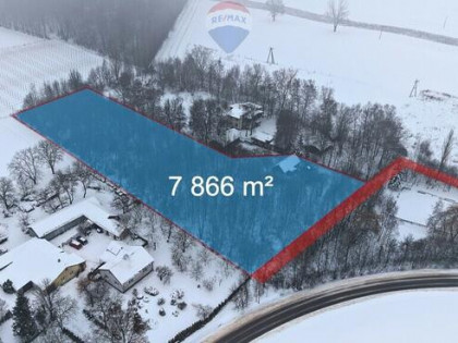 Działka 7866 m² z lasem, Miłocin (Jastków)