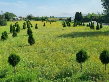 Sprzedam działkę budowlaną