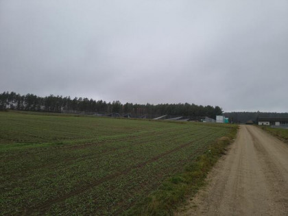 Działka budowlana Kałęczyn | bez pośredników