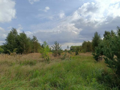 Duża działka do zabudowy