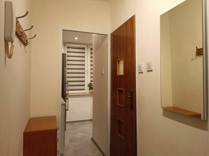 Wynajmę gotowe do zamieszkania piękne mieszkanie po remoncie